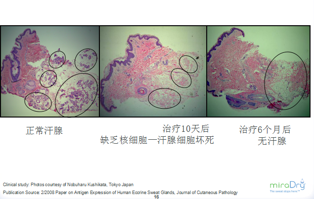 QQ截图20180702100657.png